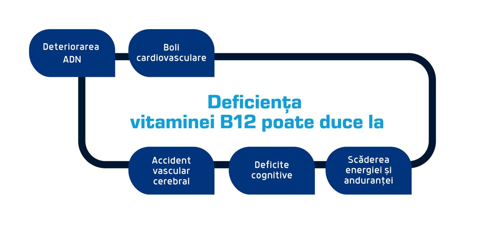 Rezultate deficienta B12