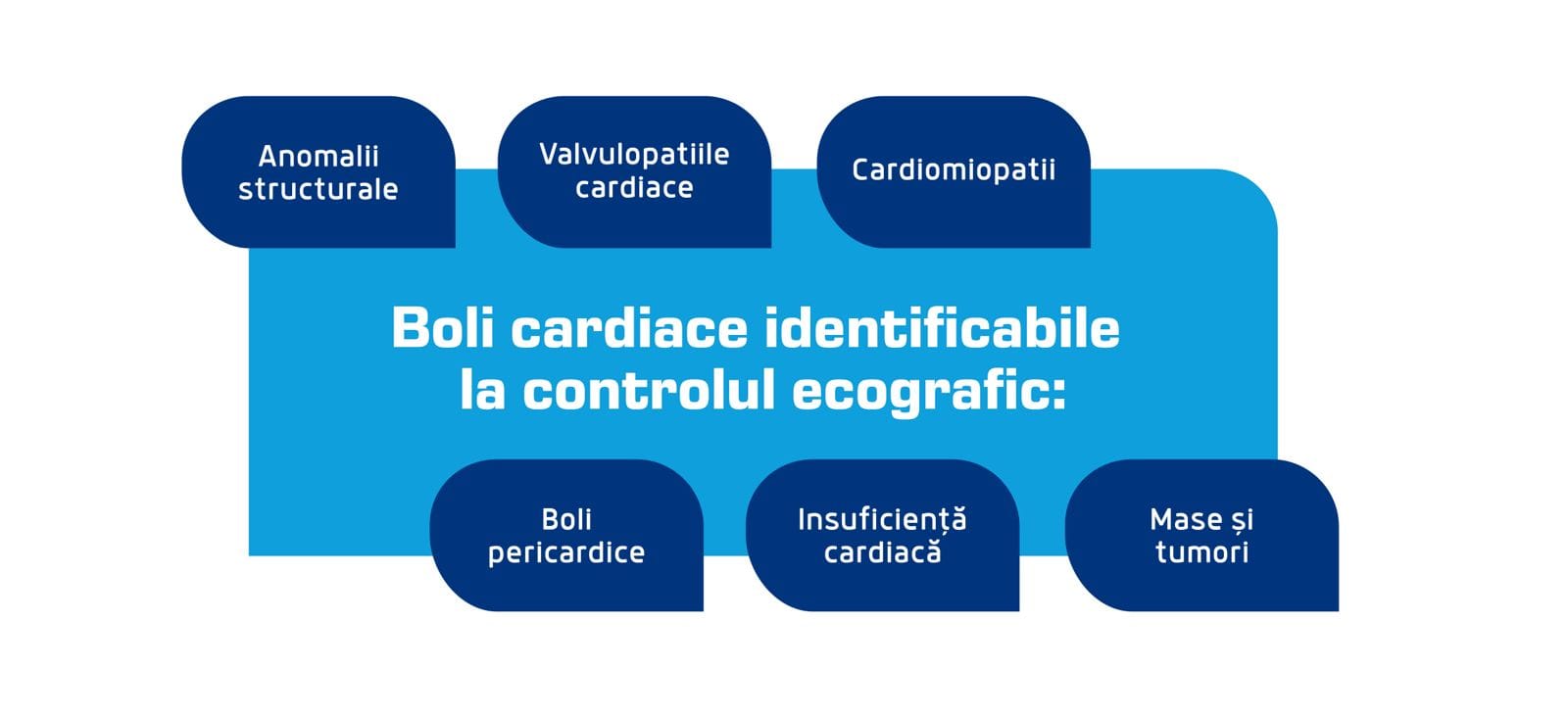 2.boli cardiace control eco