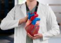 Care este rolul ecografiei în bolile cardiace? 11 rolul ecografiei în bolile cardiace