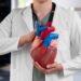 Care este rolul ecografiei în bolile cardiace? 12 rolul ecografiei în bolile cardiace