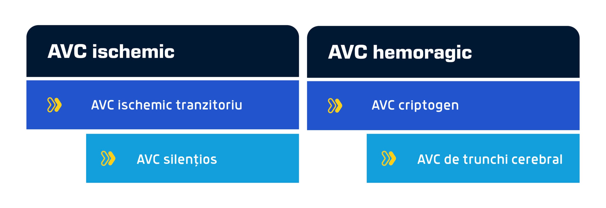 Tipuri de AVC scaled