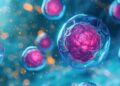 Terapia cu celule stem în neurologie 8 Terapia cu celule stem în neurologie