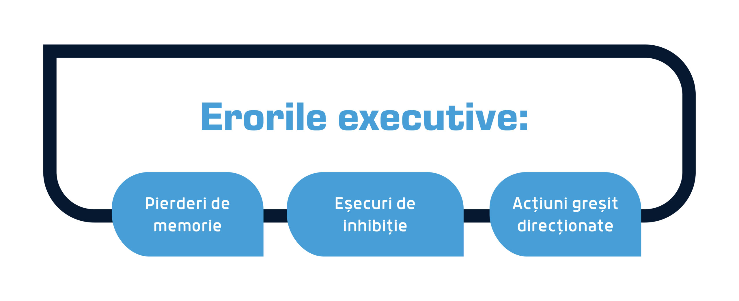 erori executive scaled