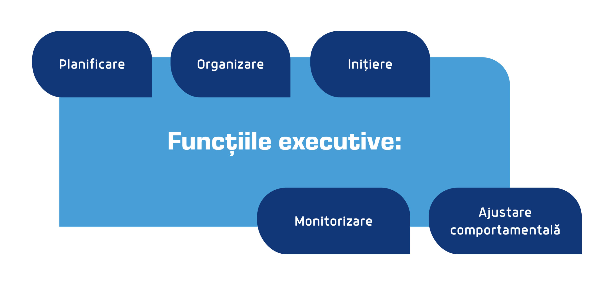 functii executive scaled
