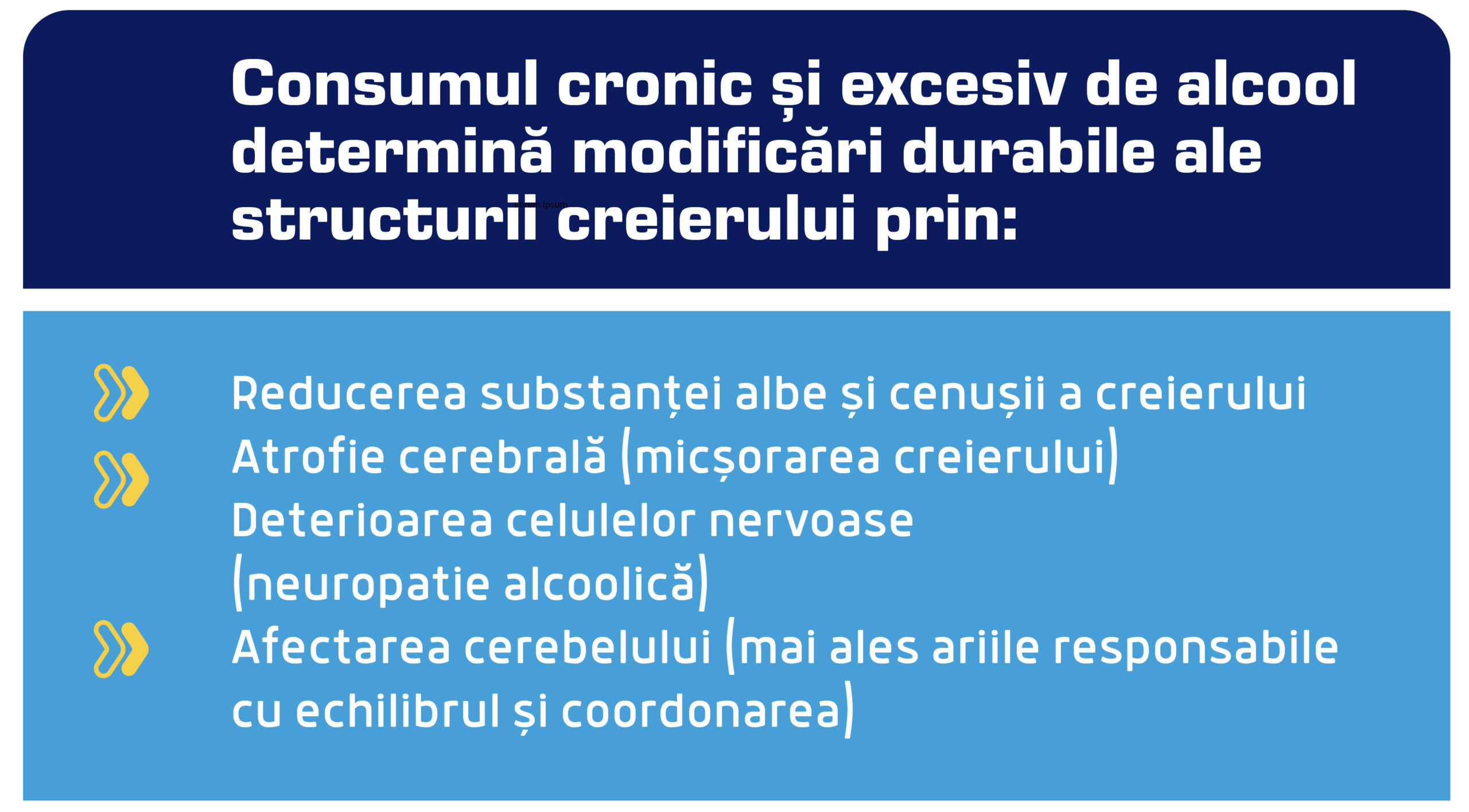 consum alcool modificari creier scaled