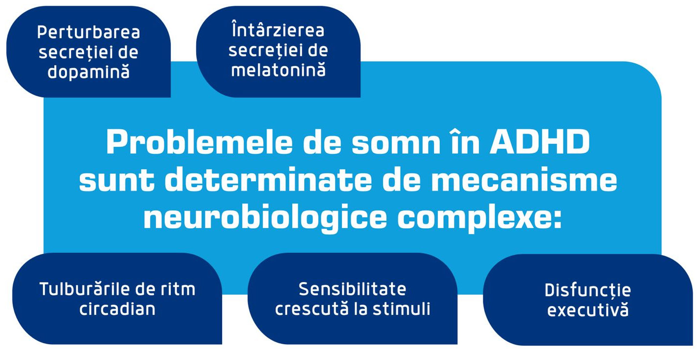 Care este legătura dintre somn și ADHD? 2 Probleme de somn ADHD
